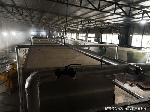 腐竹廠蒸汽利用診斷與節(jié)能改造案例解析